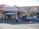 curvinbabewash - 01.jpg