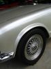 Mus Collection - 67.jpg