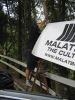 cameron malat - 151.jpg